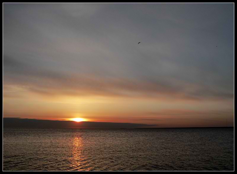 фото "Прерванный полет" метки: пейзаж, закат