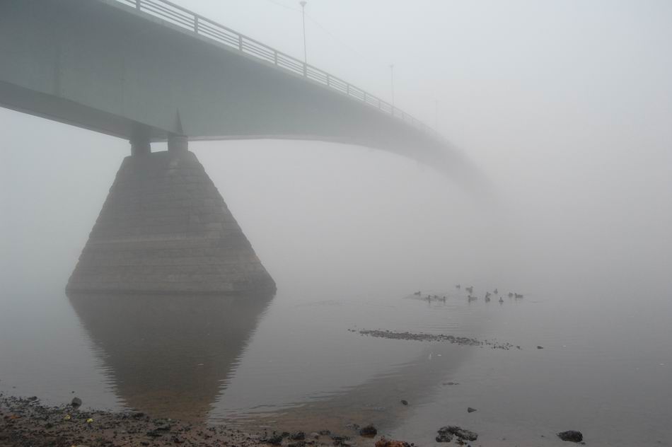 фото "Мост через туман" метки: разное, 