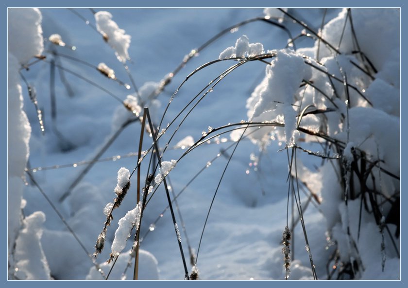 photo "First snow" tags: landscape, winter