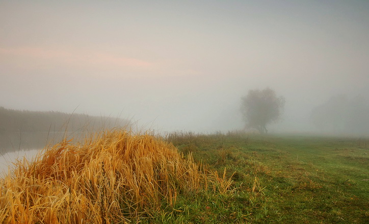 фото "****" метки: пейзаж, 