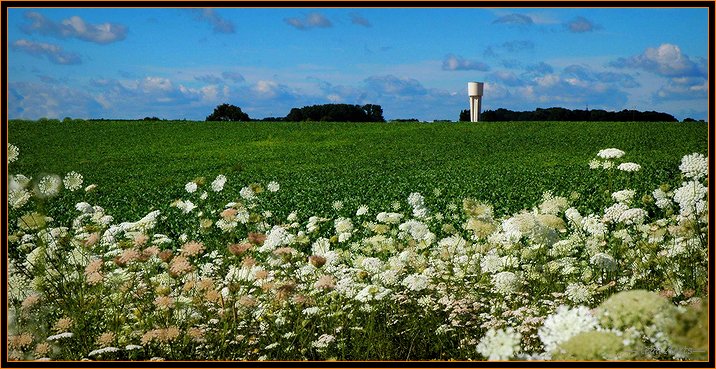 photo "last summer" tags: landscape, nature, summer