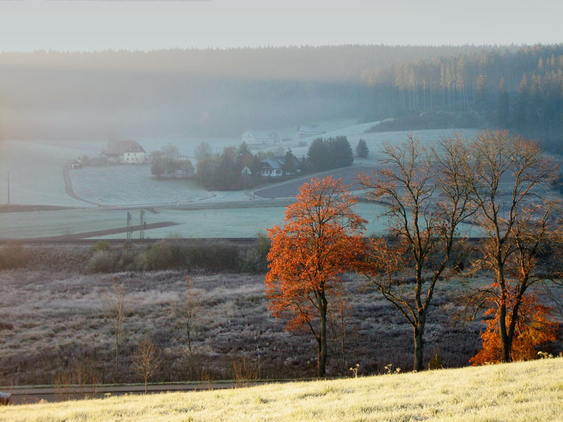 photo "***" tags: landscape, autumn, mountains