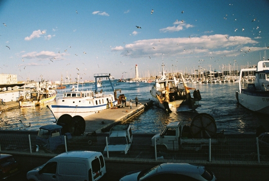 фото "fish coming" метки: репортаж, путешествия, Европа
