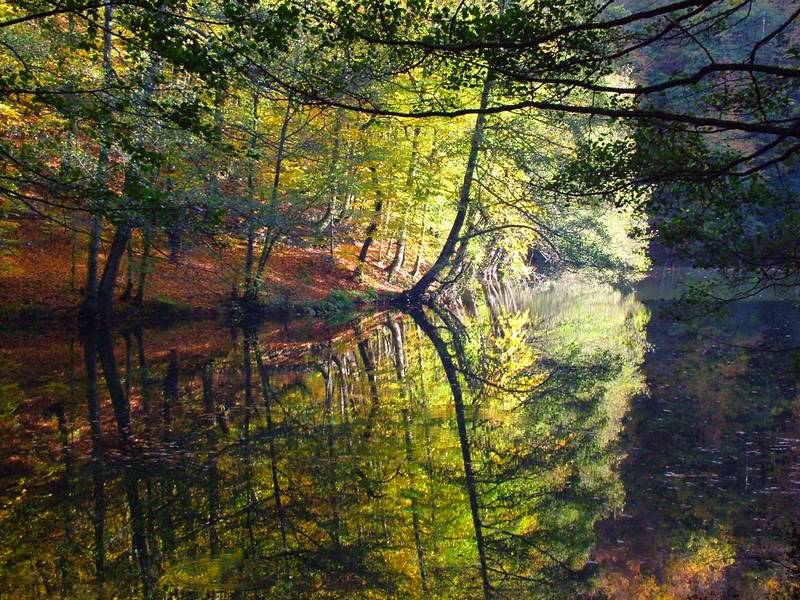 фото "Autumn" метки: пейзаж, вода