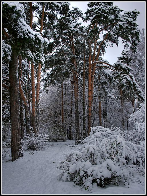 photo "on the way to the tale" tags: , 