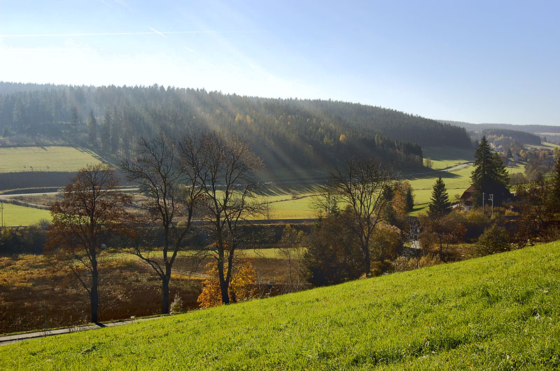 фото "В один погожий осенний денёк" метки: пейзаж, лес, осень