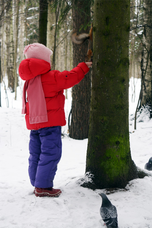 photo "to feed a squirrel" tags: genre, 