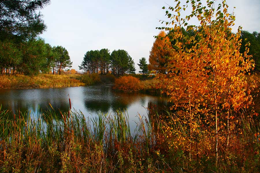 photo "***" tags: landscape, autumn, water