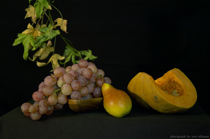 photo "Тыква" tags: still life, nature, flowers