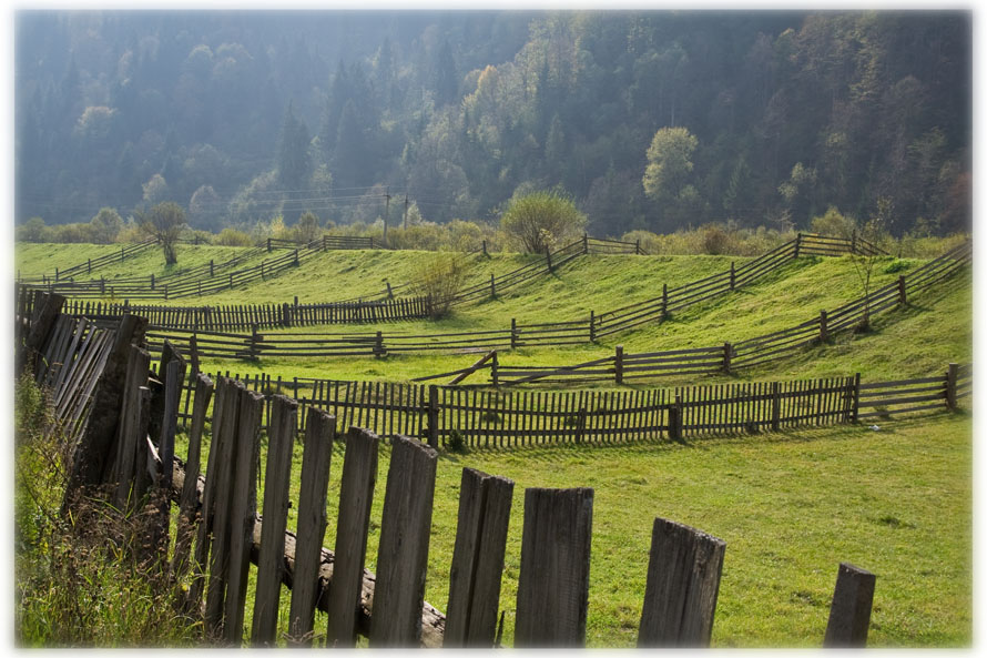 photo "cells" tags: landscape, autumn, mountains