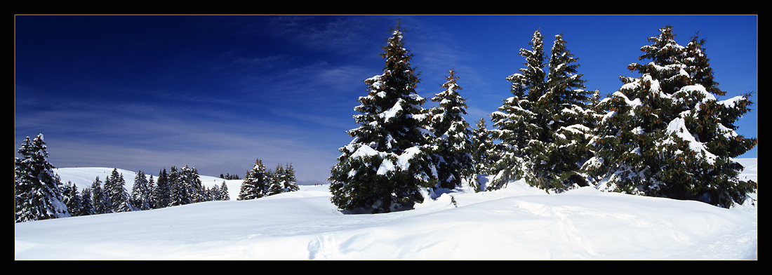 photo "Snow!" tags: panoramic, landscape, winter