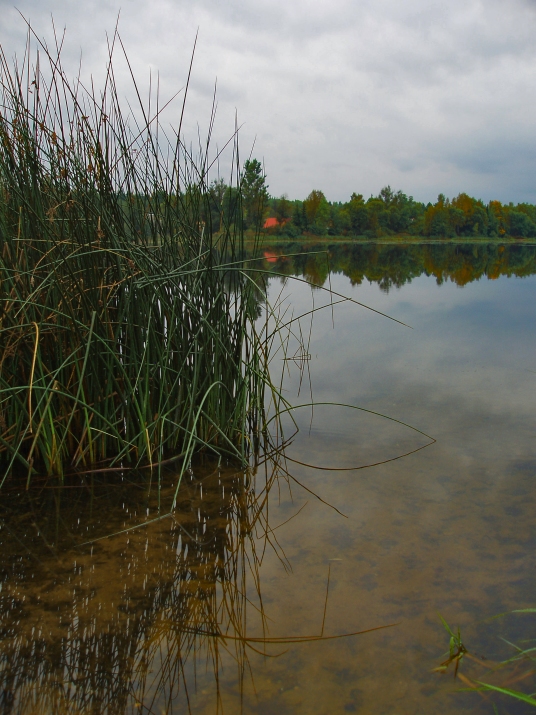 photo "***" tags: landscape, summer, water