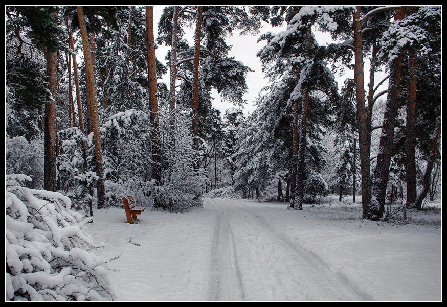 photo "A threshold Winter" tags: landscape, forest, winter