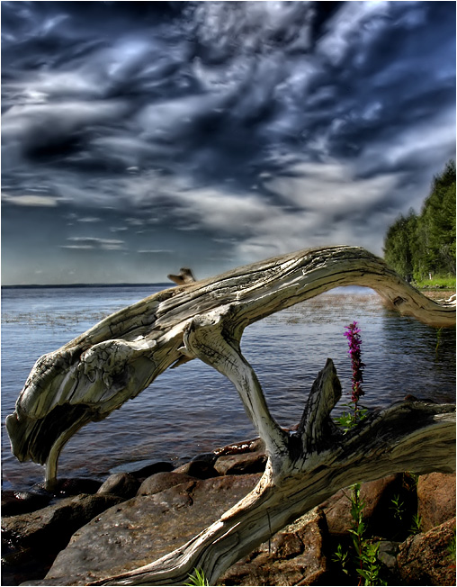 фото "Чудище" метки: пейзаж, вода, облака