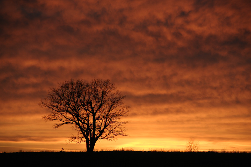 фото "... november sunset" метки: пейзаж, закат