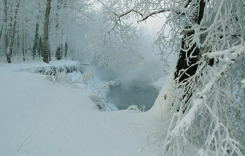 photo "***" tags: landscape, forest, winter