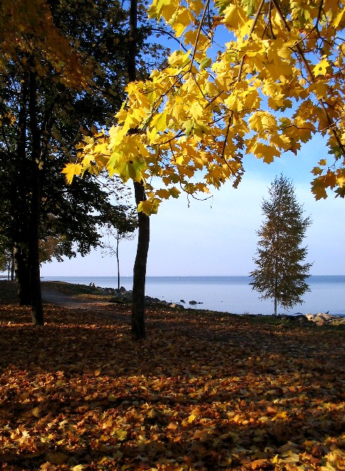 photo "Fragility" tags: landscape, autumn, water