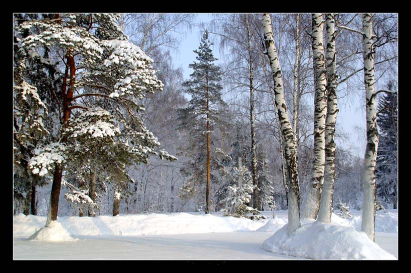 фото "Зима..." метки: пейзаж, зима, лес