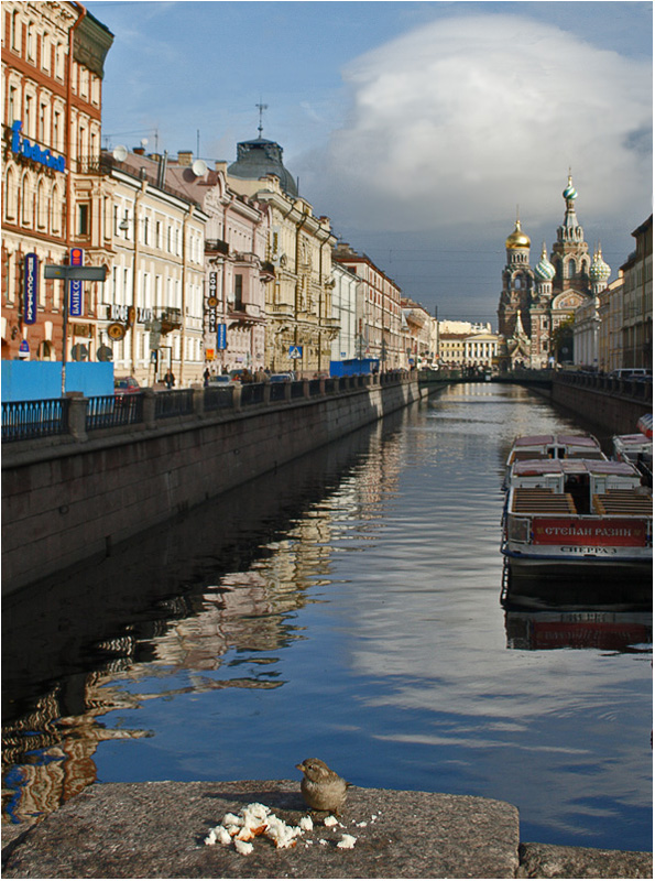 фото "Где обедал воробей)))" метки: архитектура, жанр, пейзаж, 