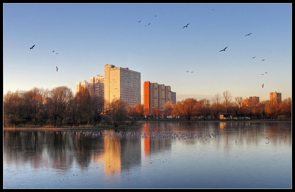 photo "The fragile ice" tags: , 