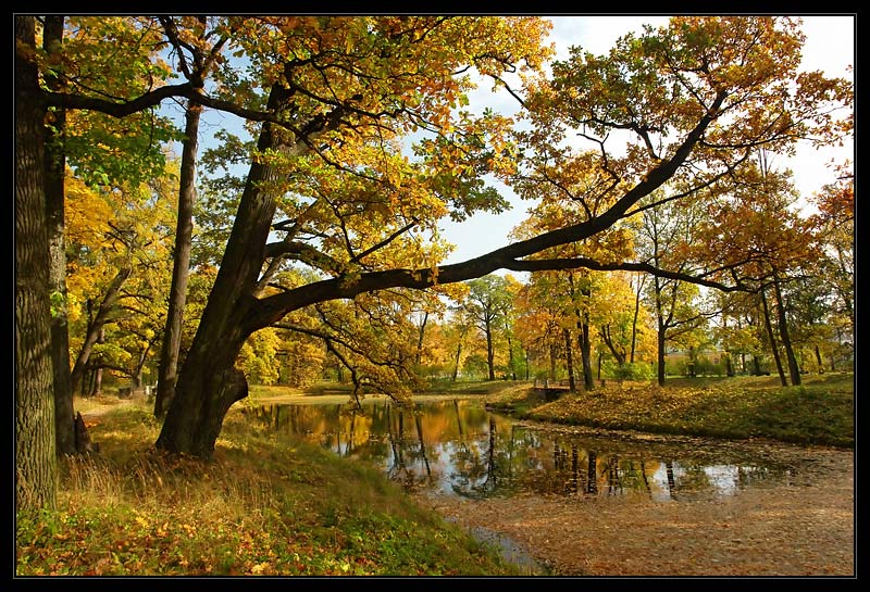 фото "***" метки: пейзаж, вода, осень