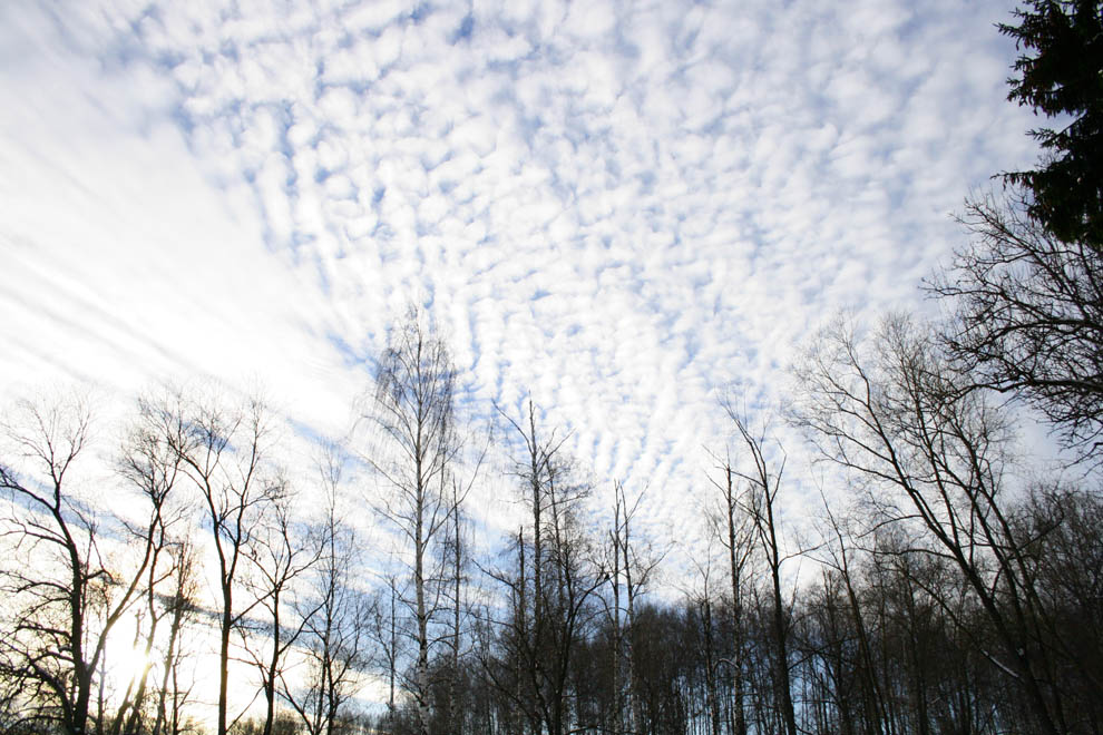 photo "***" tags: landscape, clouds, winter