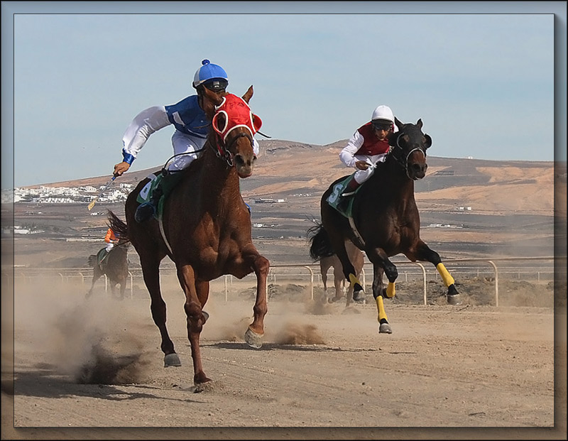 photo "Mr Red Blinkers !" tags: sport, travel, Europe