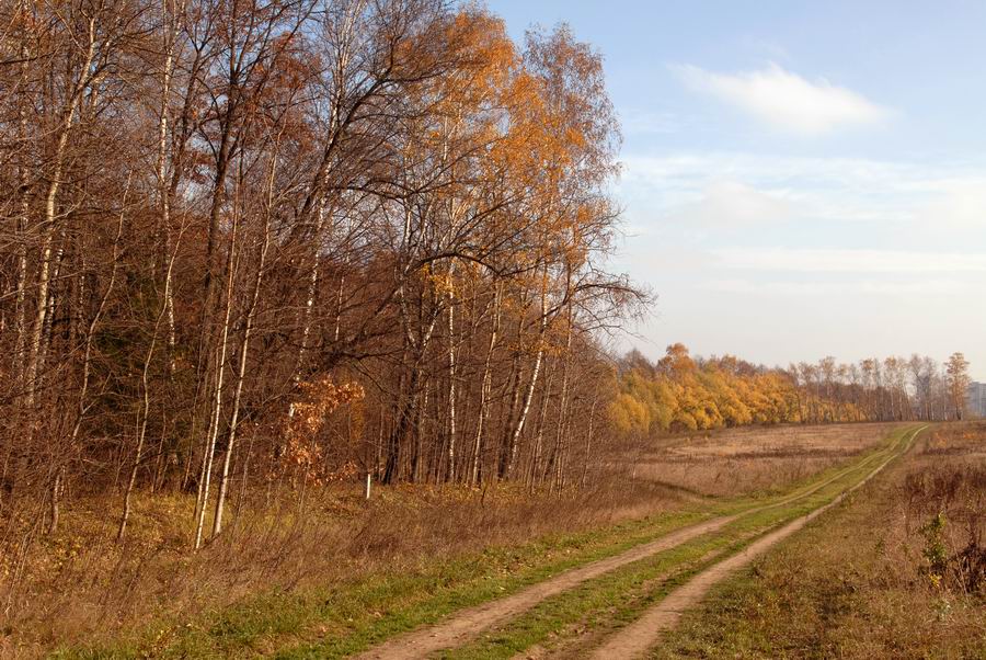 photo "***" tags: landscape, autumn