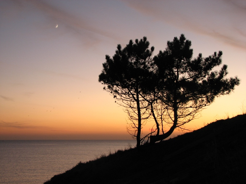 photo "***" tags: landscape, sunset, water