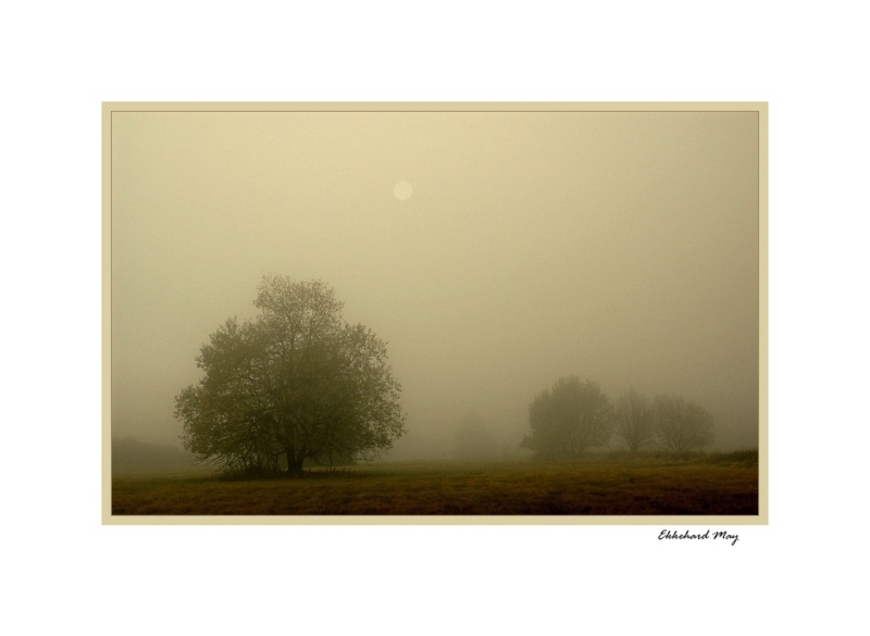 photo "immersion: one" tags: landscape, autumn