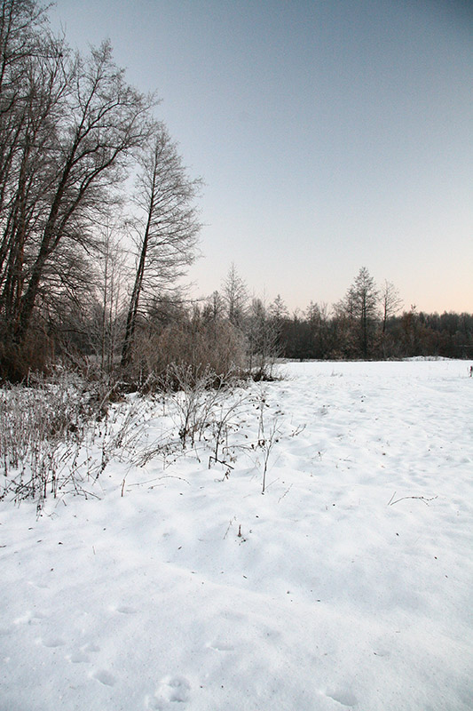 photo "***" tags: landscape, winter