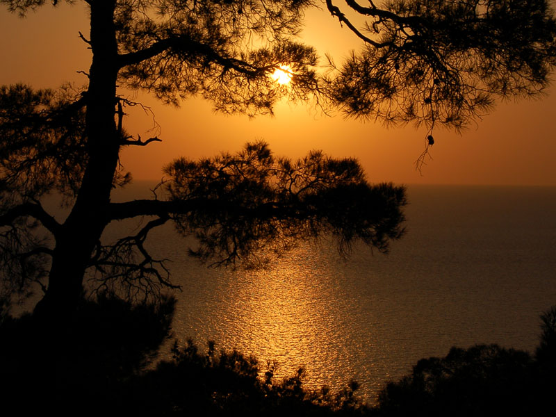 photo "***" tags: landscape, sunset, water