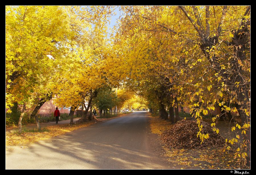 photo "***" tags: landscape, old-time, autumn