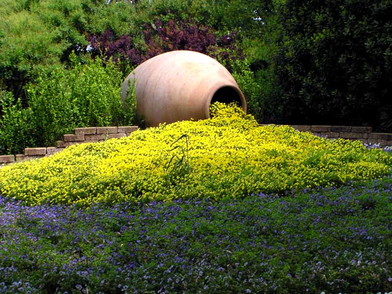 photo "Flushing Flowers" tags: nature, landscape, flowers, spring