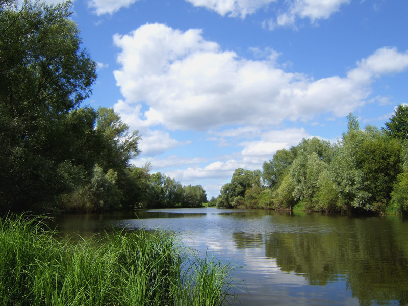 photo "***" tags: landscape, clouds, summer