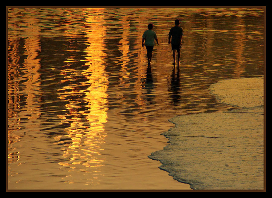 photo "Golden Light" tags: landscape, sunset