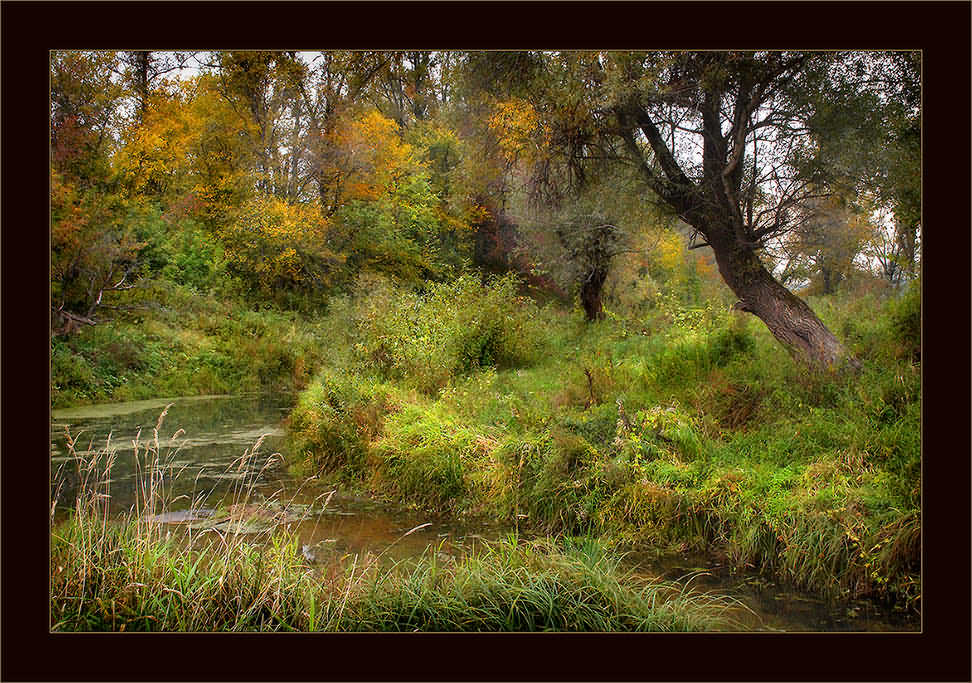 photo "The river Kurumka" tags: landscape, autumn, forest