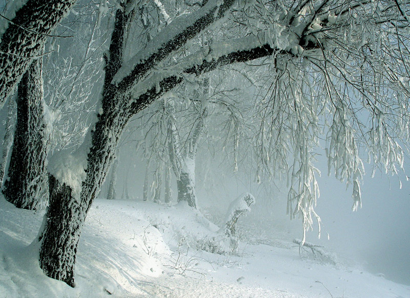 фото "Снежное царство." метки: пейзаж, зима