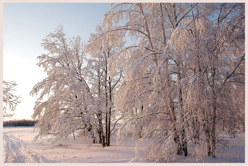 photo "Winter fairytaile" tags: landscape, forest, winter