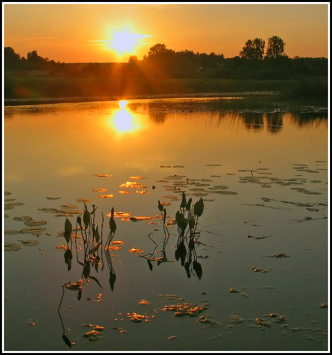 photo "***" tags: landscape, sunset, water