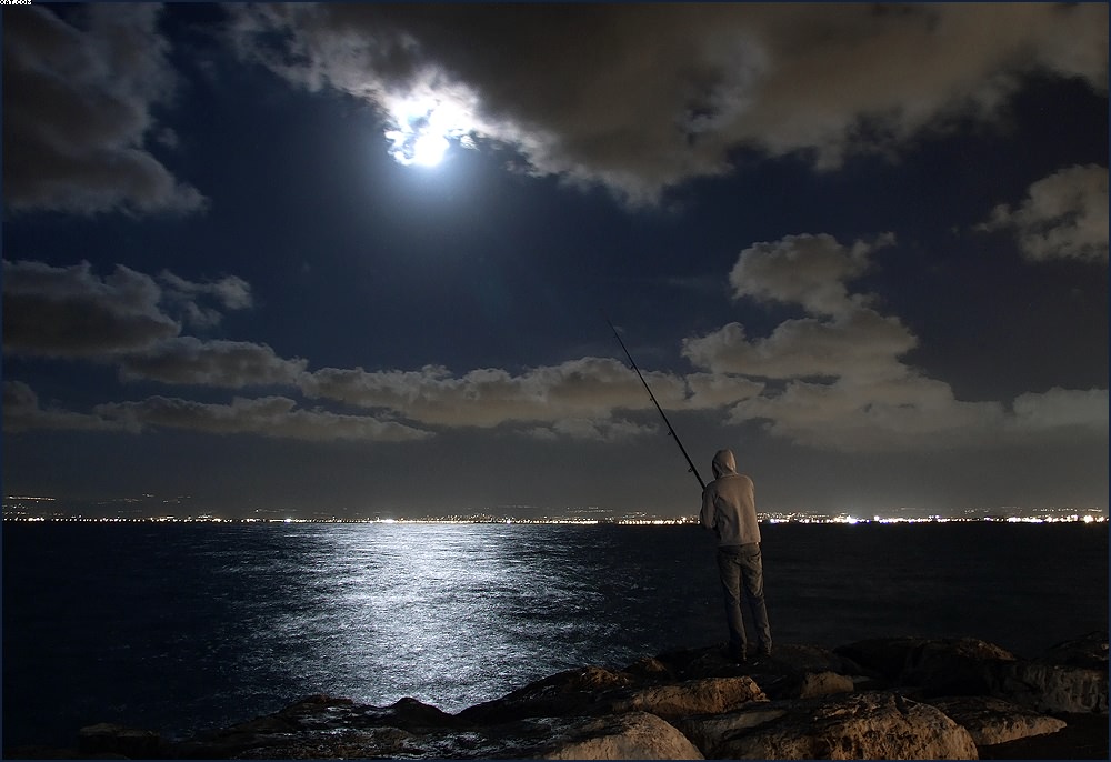 photo "NIGHT FISHER" tags: genre, misc., 