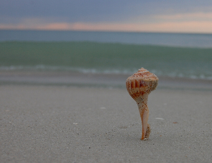 photo "Beach Tower" tags: landscape, nature, summer