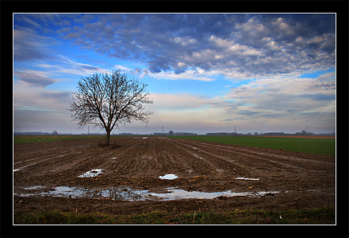 фото "***" метки: пейзаж, 