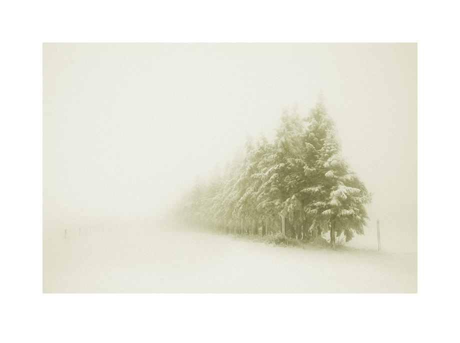 photo "a winter's tale I" tags: landscape, black&white, winter