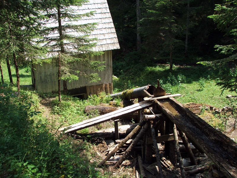 photo "Old water mill" tags: landscape, summer