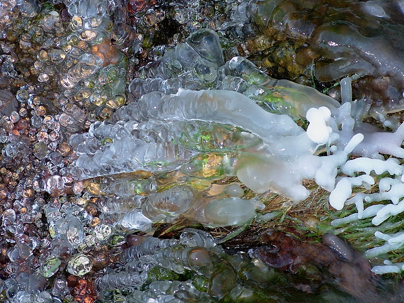 photo "ice" tags: macro and close-up, 