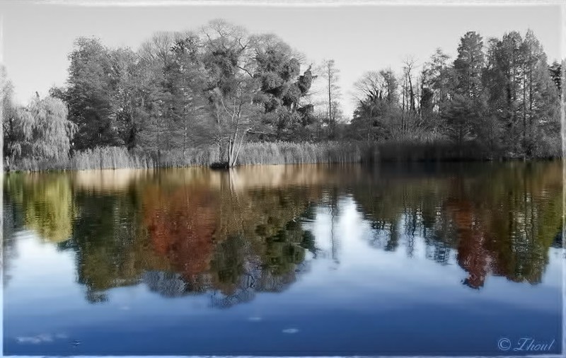 photo "The truth lies in the water" tags: landscape, genre, water
