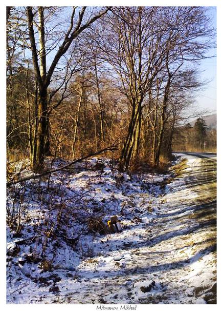 photo "***" tags: landscape, forest, winter