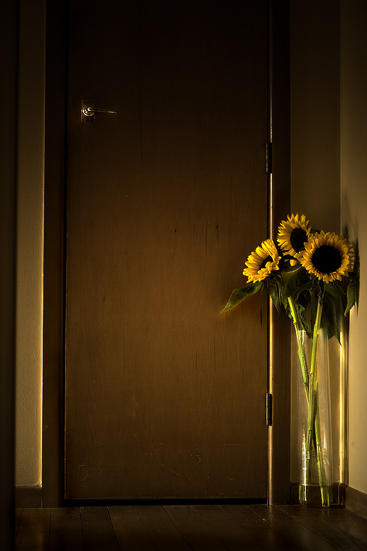 photo "sunflowers" tags: nature, flowers