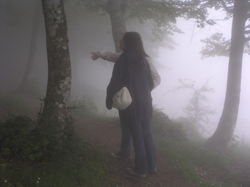 photo "In the fog" tags: landscape, autumn, forest